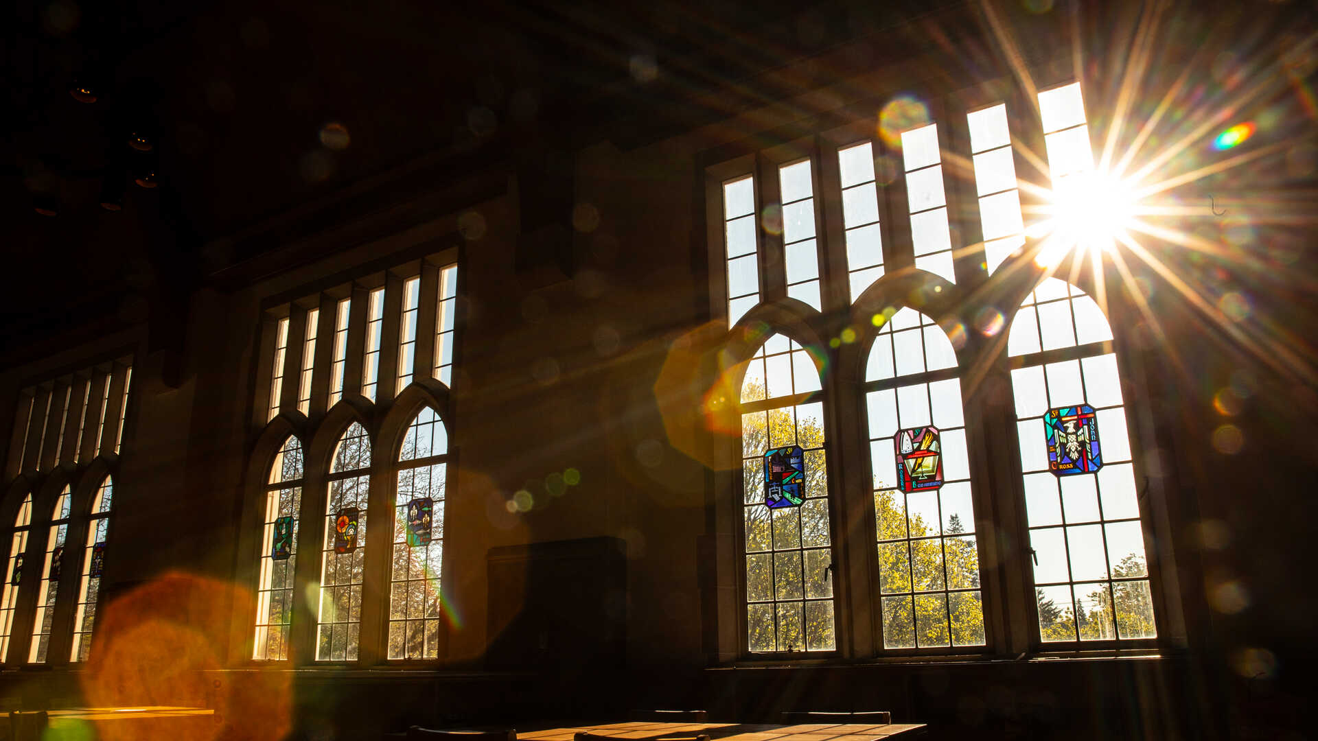 The sun shines through windows in the O’Shaughnessy-Frey Library