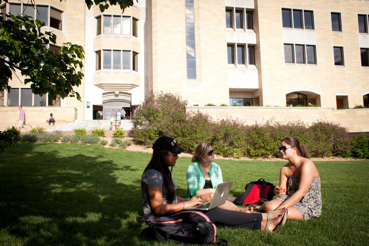 A group students study on the lawn