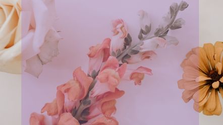 three flowers on a white table cloth