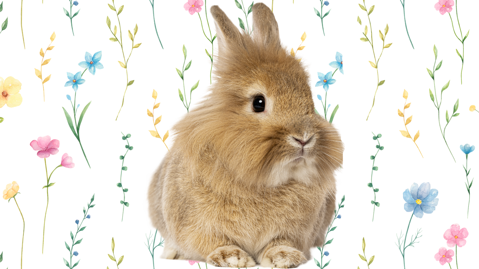 a brown bunny in front of thin flowers