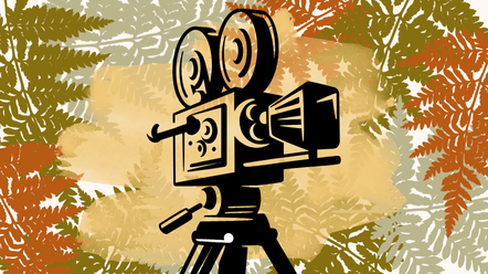 A camcorder on a tripod in front of multi color ferns